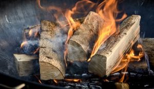 Read more about the article Ultimate Guide to BBQ – Fuels