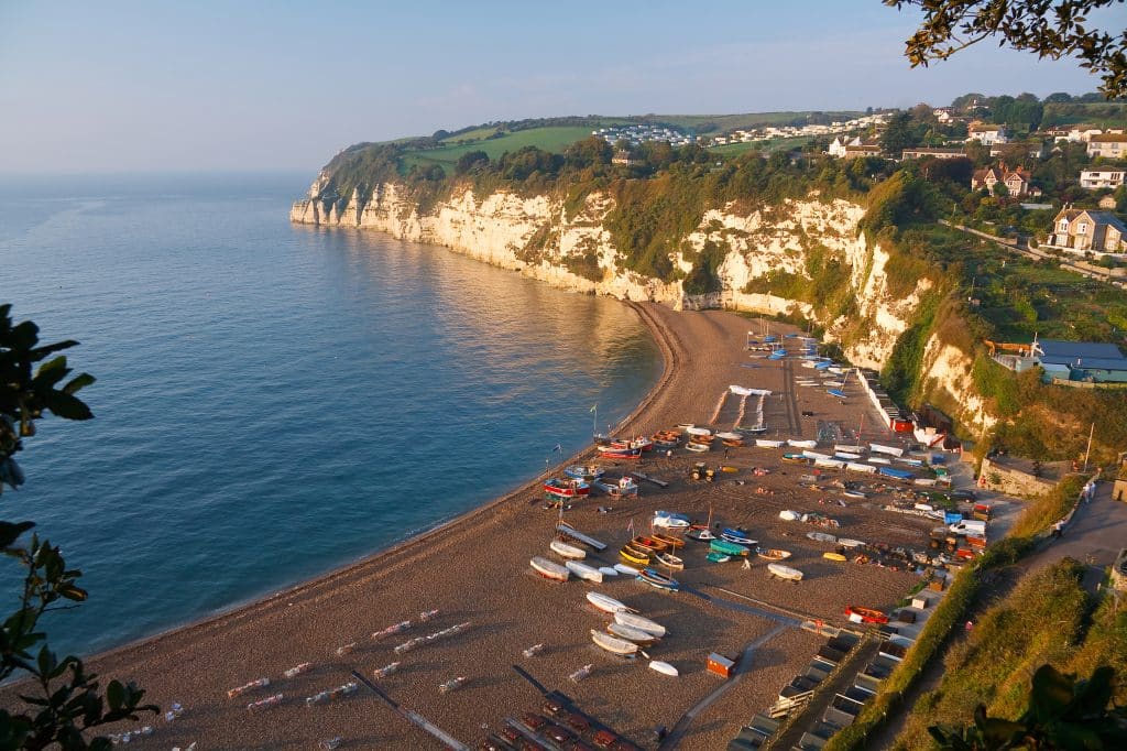 Whole of Beer Beach